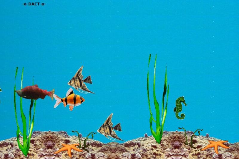 Aquatic Animations