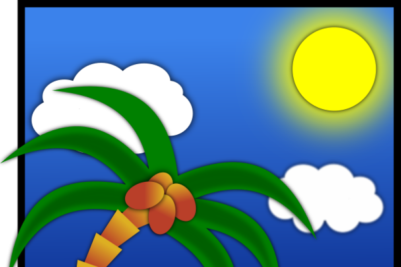 Gaudy Palm Card