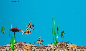 Aquatic Animations