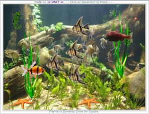 Aqua Animator