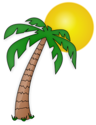 Palm Tree and Sun